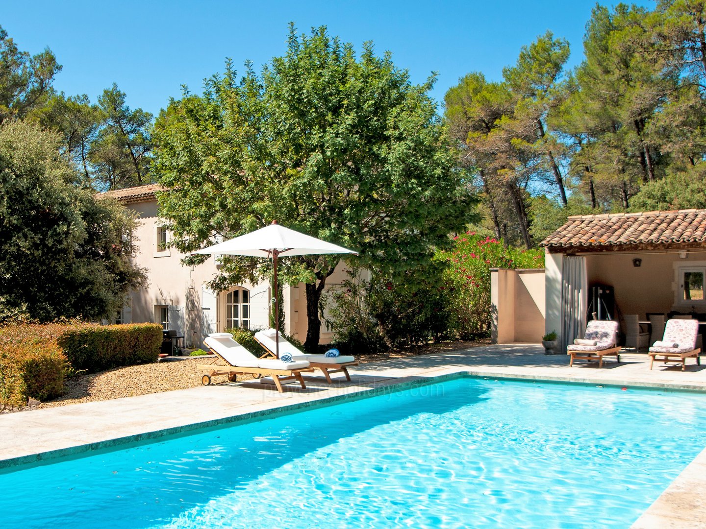 1 - Le Mas des Roses: Villa: Pool