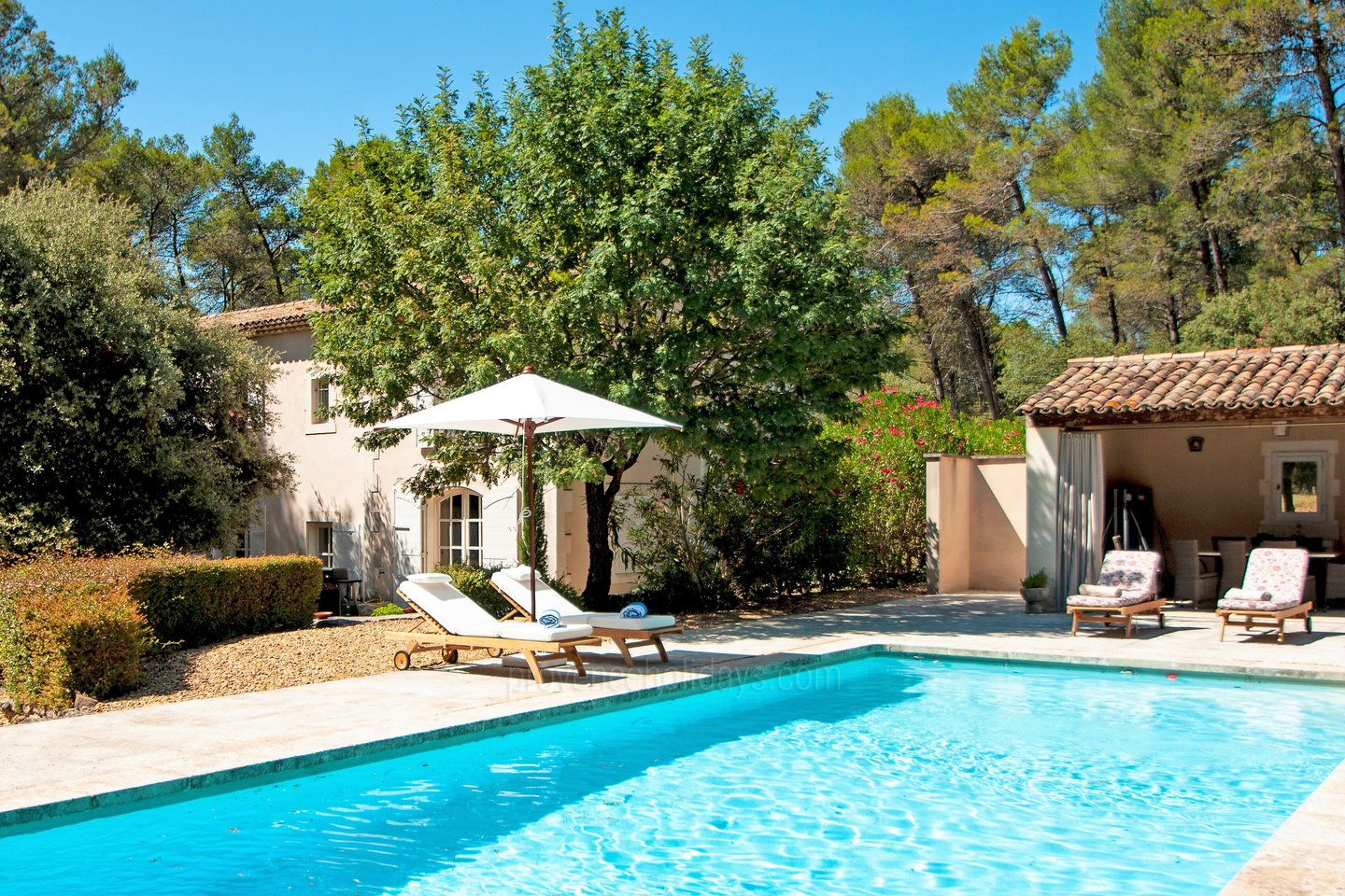 1 - Le Mas des Roses: Villa: Pool