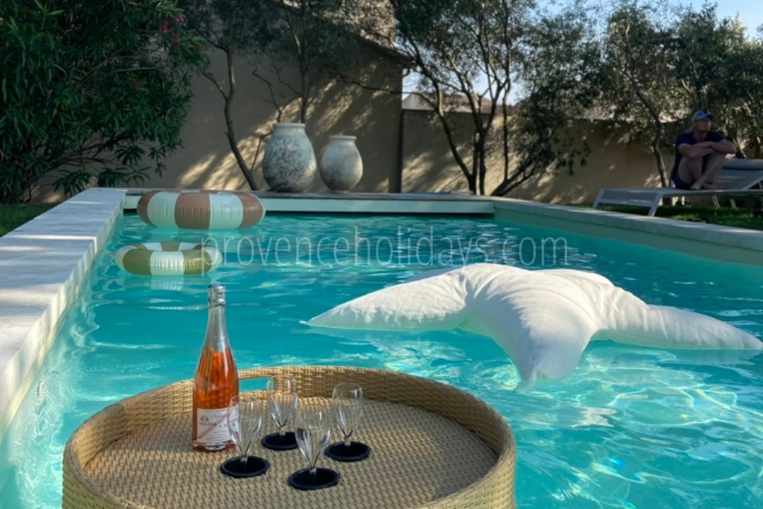 23 - Mas Cyprinidé: Villa: Pool