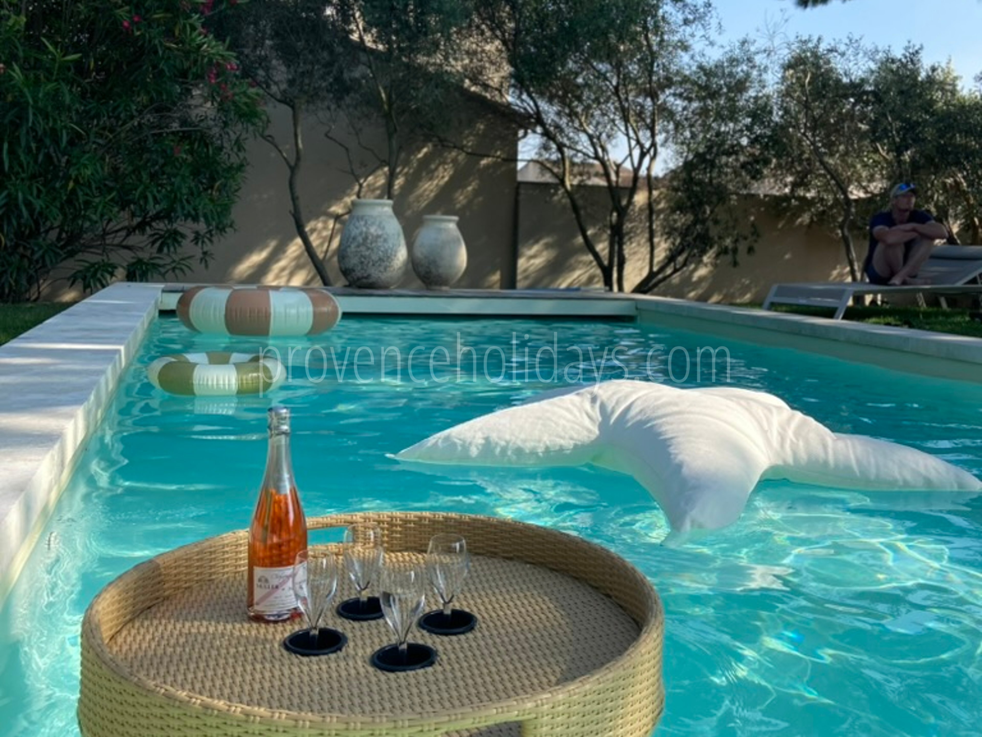 23 - Mas Cyprinidé: Villa: Pool