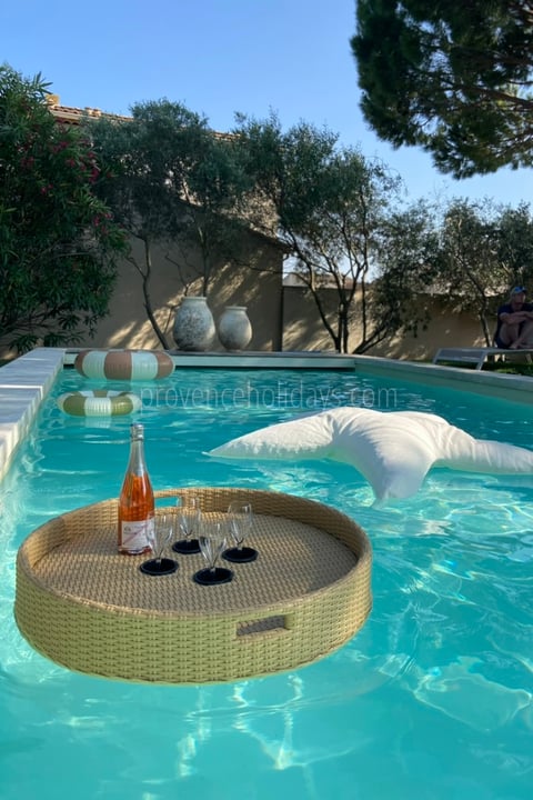 23 - Mas Cyprinidé: Villa: Pool