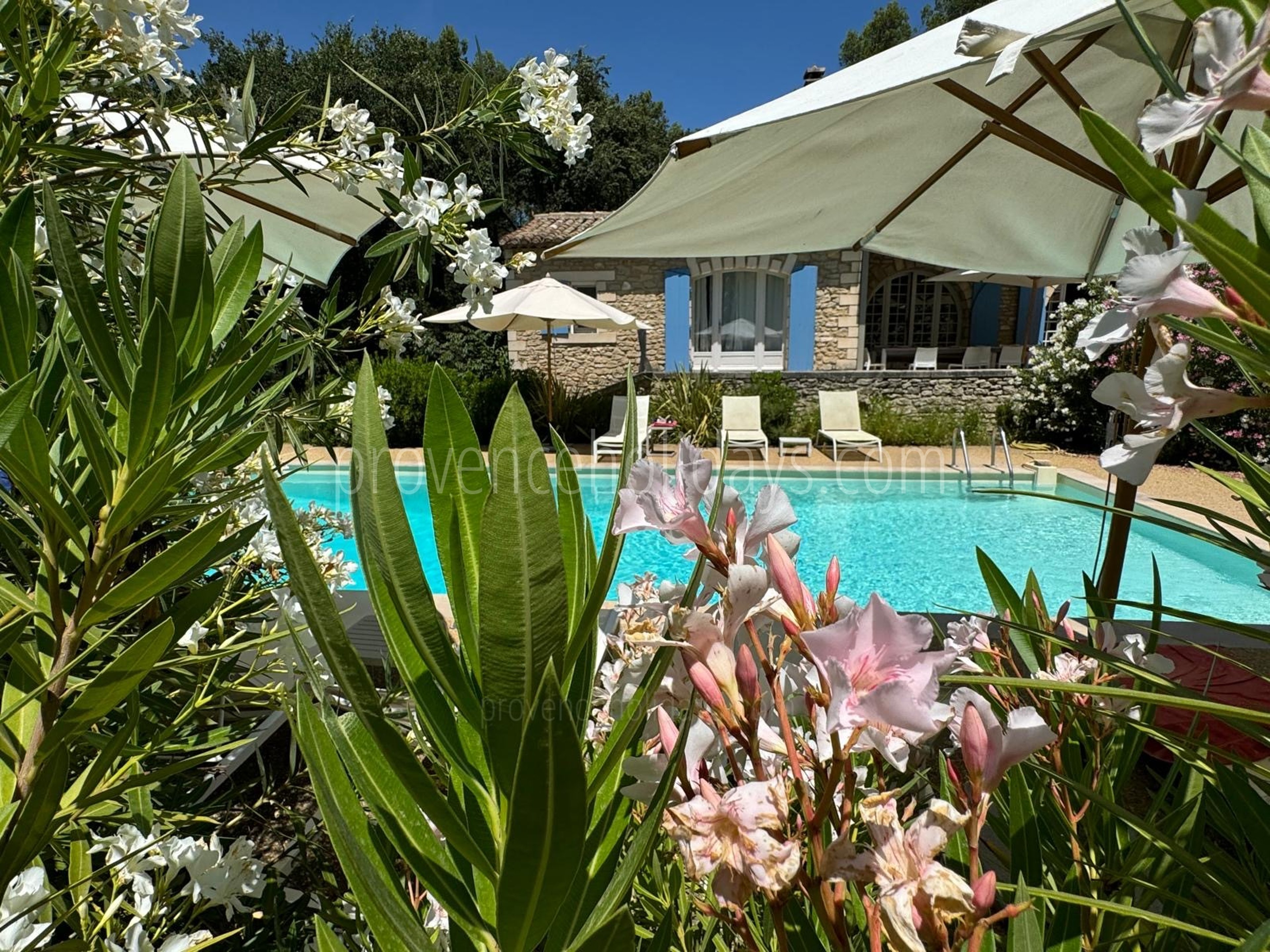 51 - Mas Heyrauds: Villa: Pool