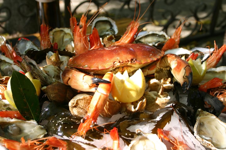 Restaurant Sous les Micocouliers