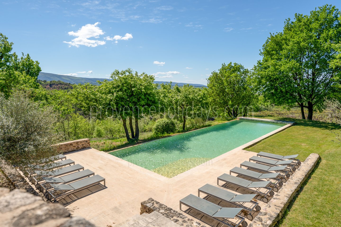 1 - Le Mas des Vignes: Villa: Pool