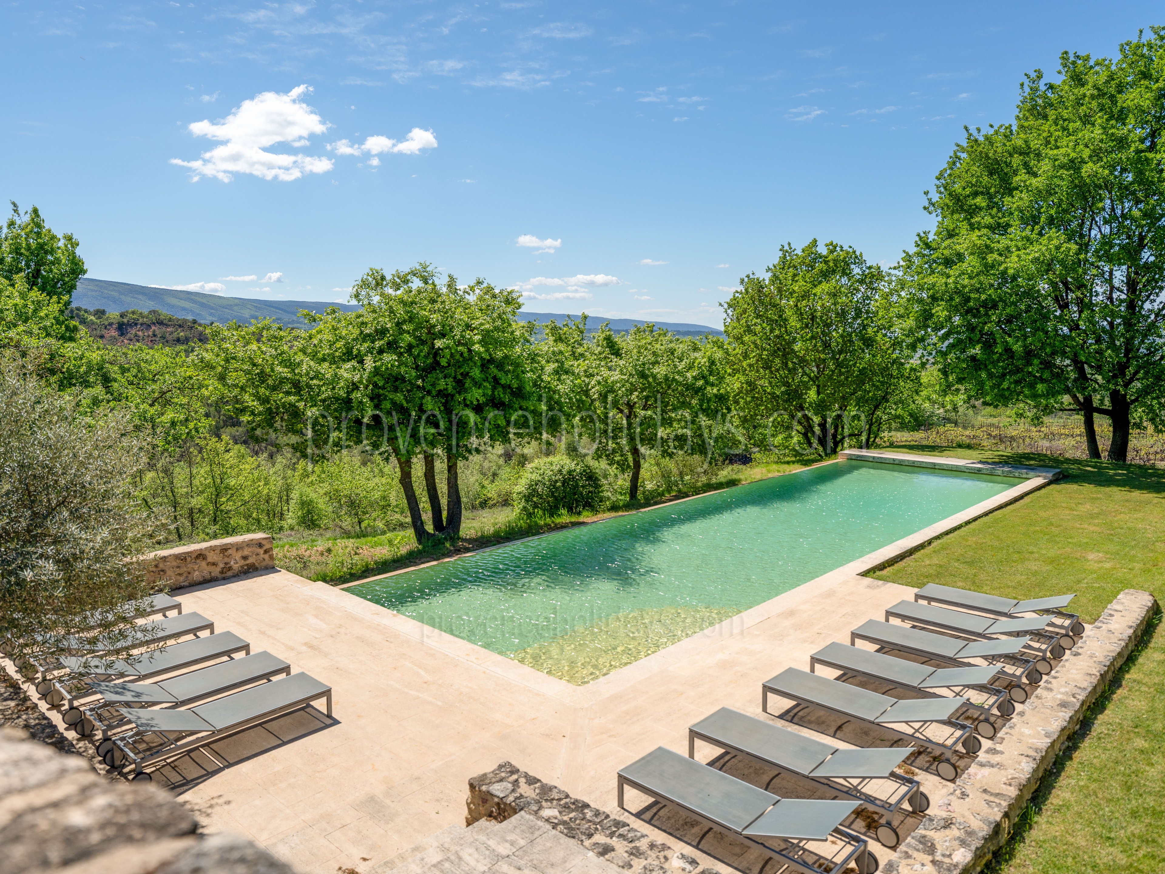 1 - Le Mas des Vignes: Villa: Pool