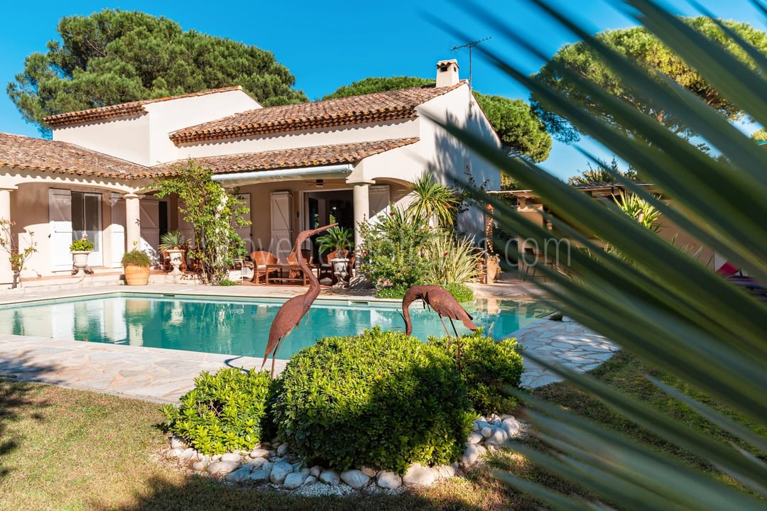 25 - Villa avec maison d’invités à Grimaud: Villa: Pool