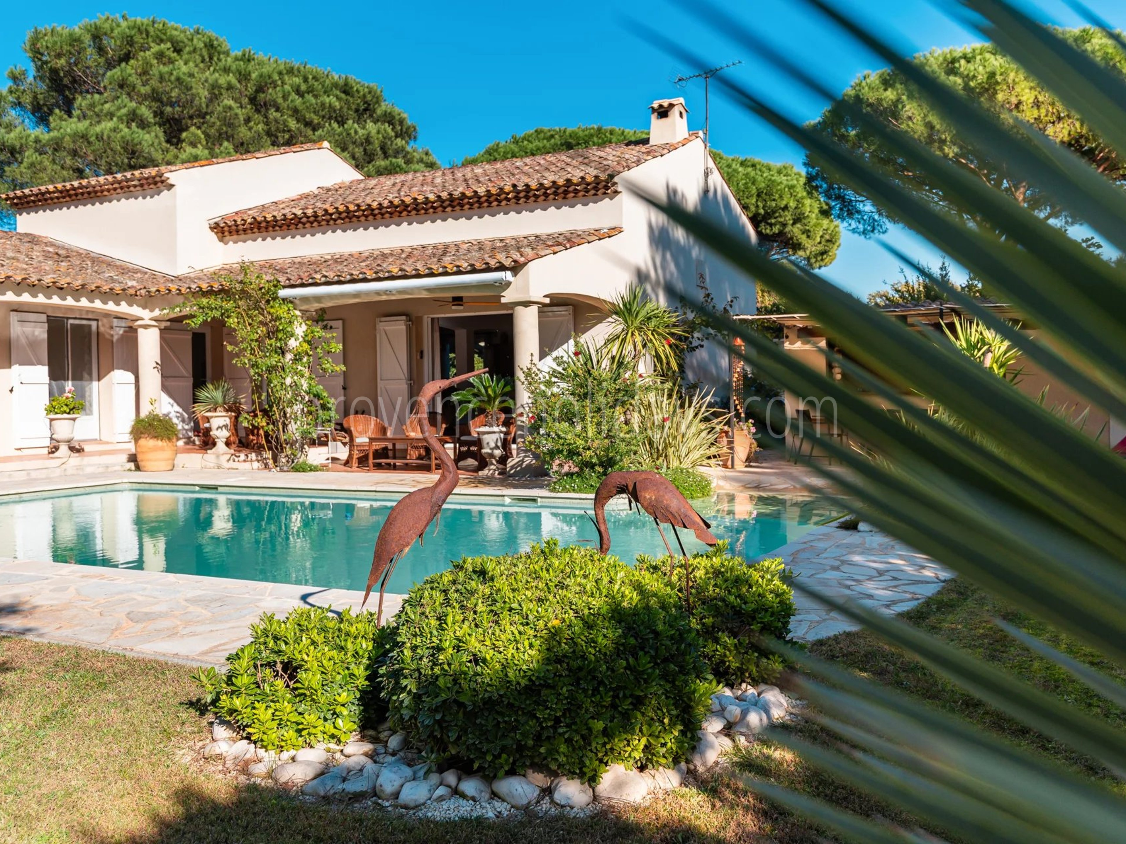 25 - Villa avec maison d’invités à Grimaud: Villa: Pool