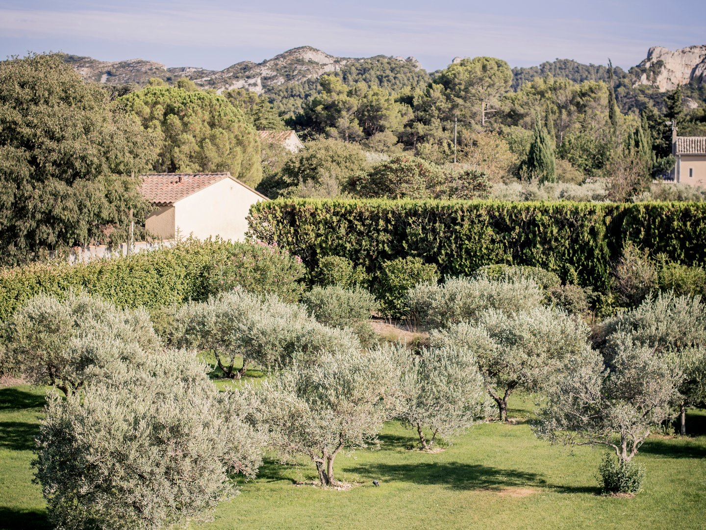 10 - Mas Marius: Villa: Exterior