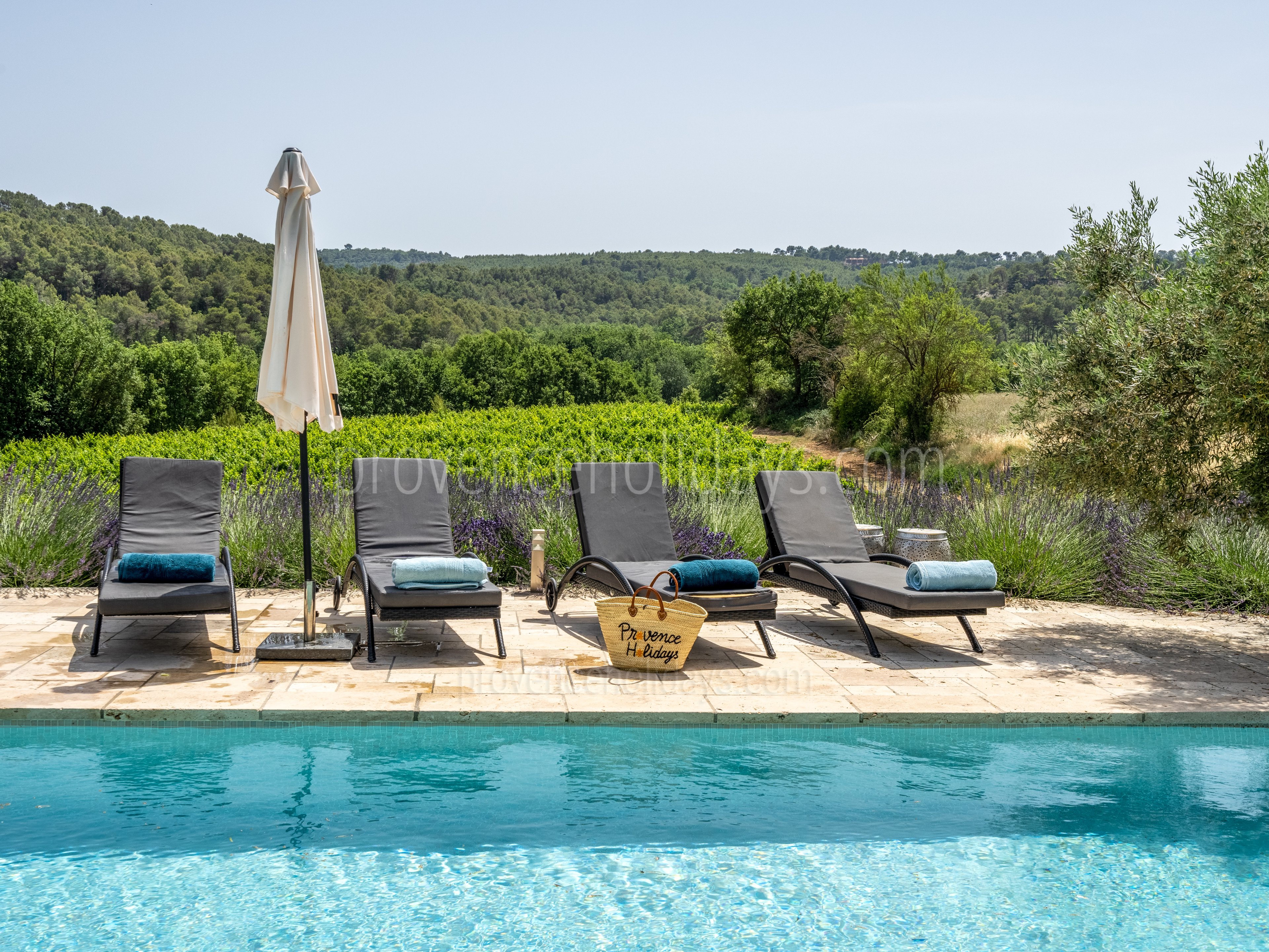 5 - Mas de Beaulieu: Villa: Pool