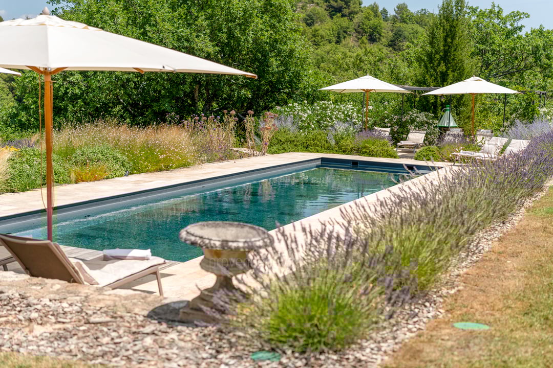 42 - Mas de Saint-Jean: Villa: Pool