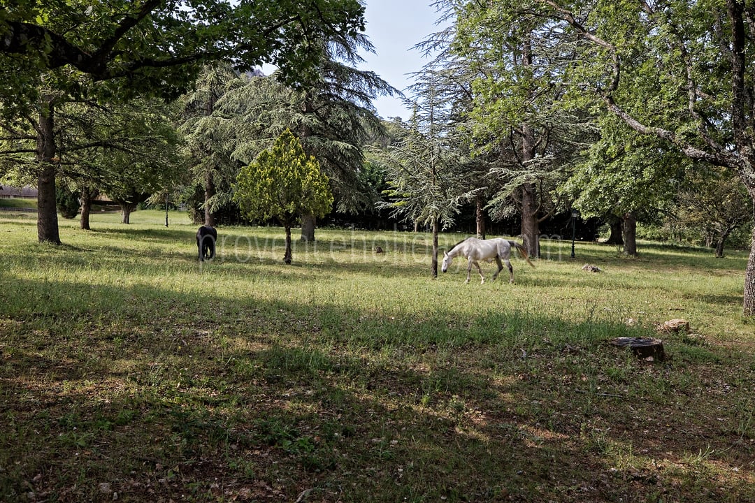 59 - Villa Garrigue: Villa: Exterior
