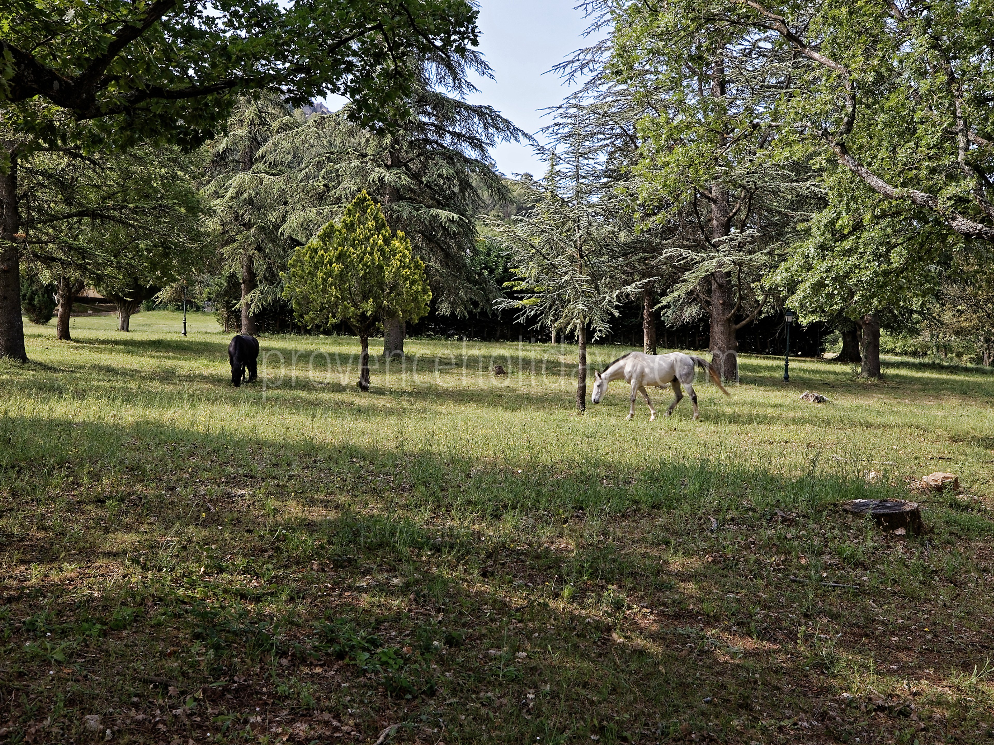 59 - Villa Garrigue: Villa: Exterior