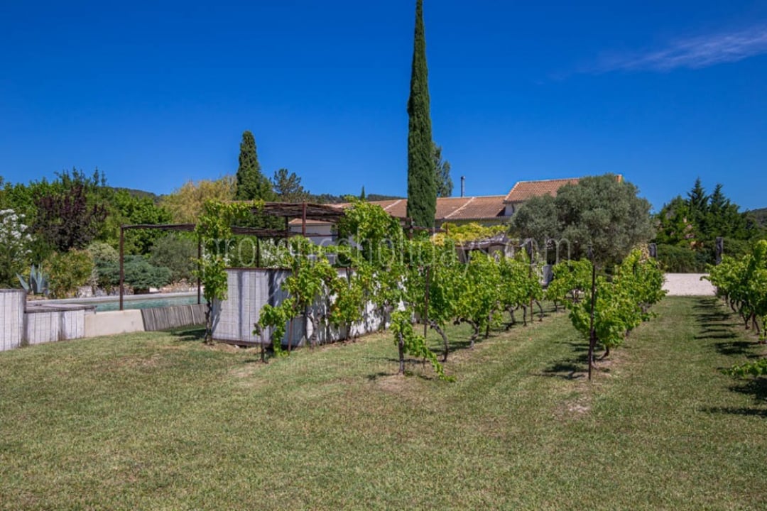 2 - Villa Beaumes: Villa: Exterior