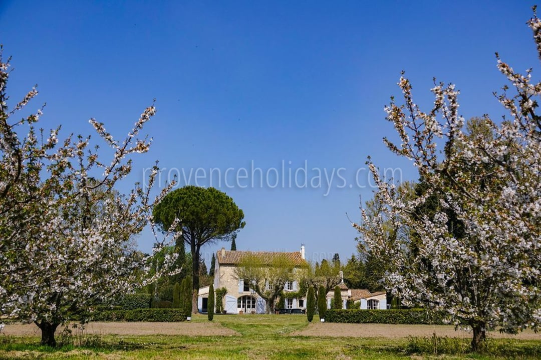 12 - Mas Saint-Andiol: Villa: Exterior