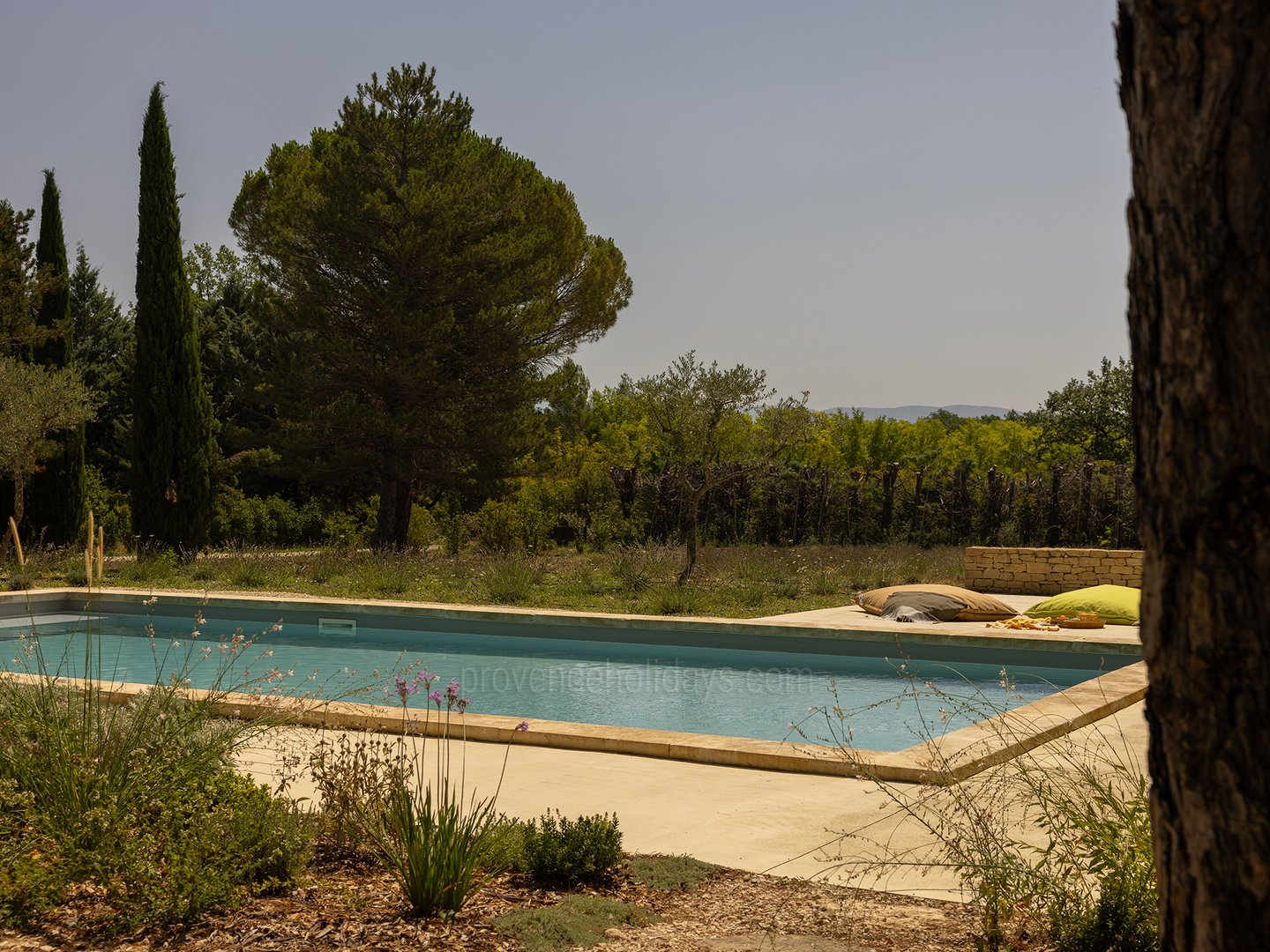 7 - Mas des Lavandins: Villa: Pool