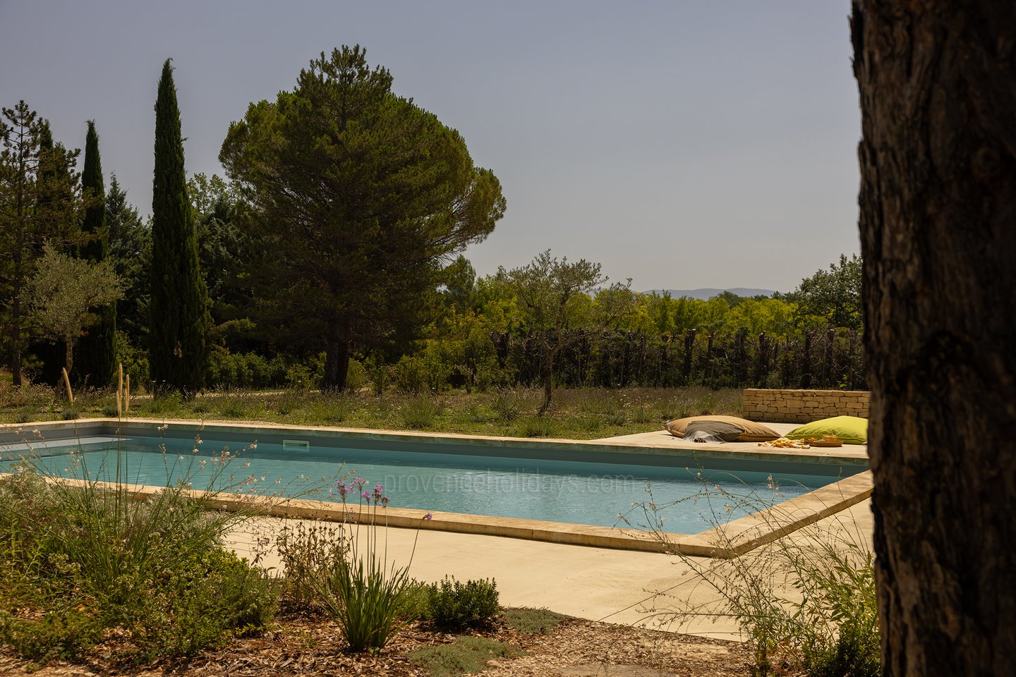 7 - Mas des Lavandins: Villa: Pool