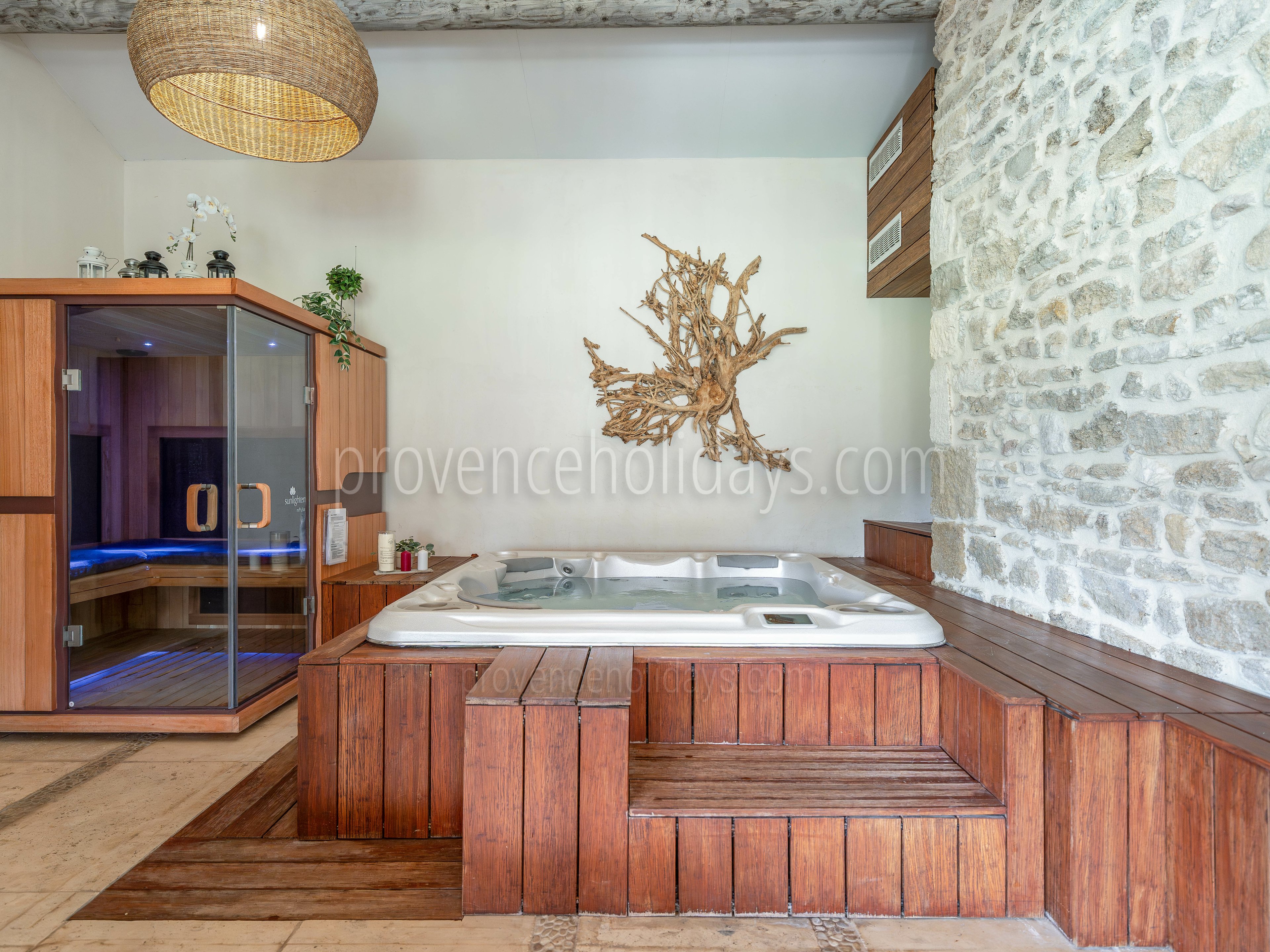 59 - Mas des Vignes: Villa: Interior