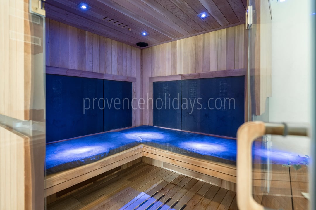 58 - Mas des Vignes: Villa: Interior