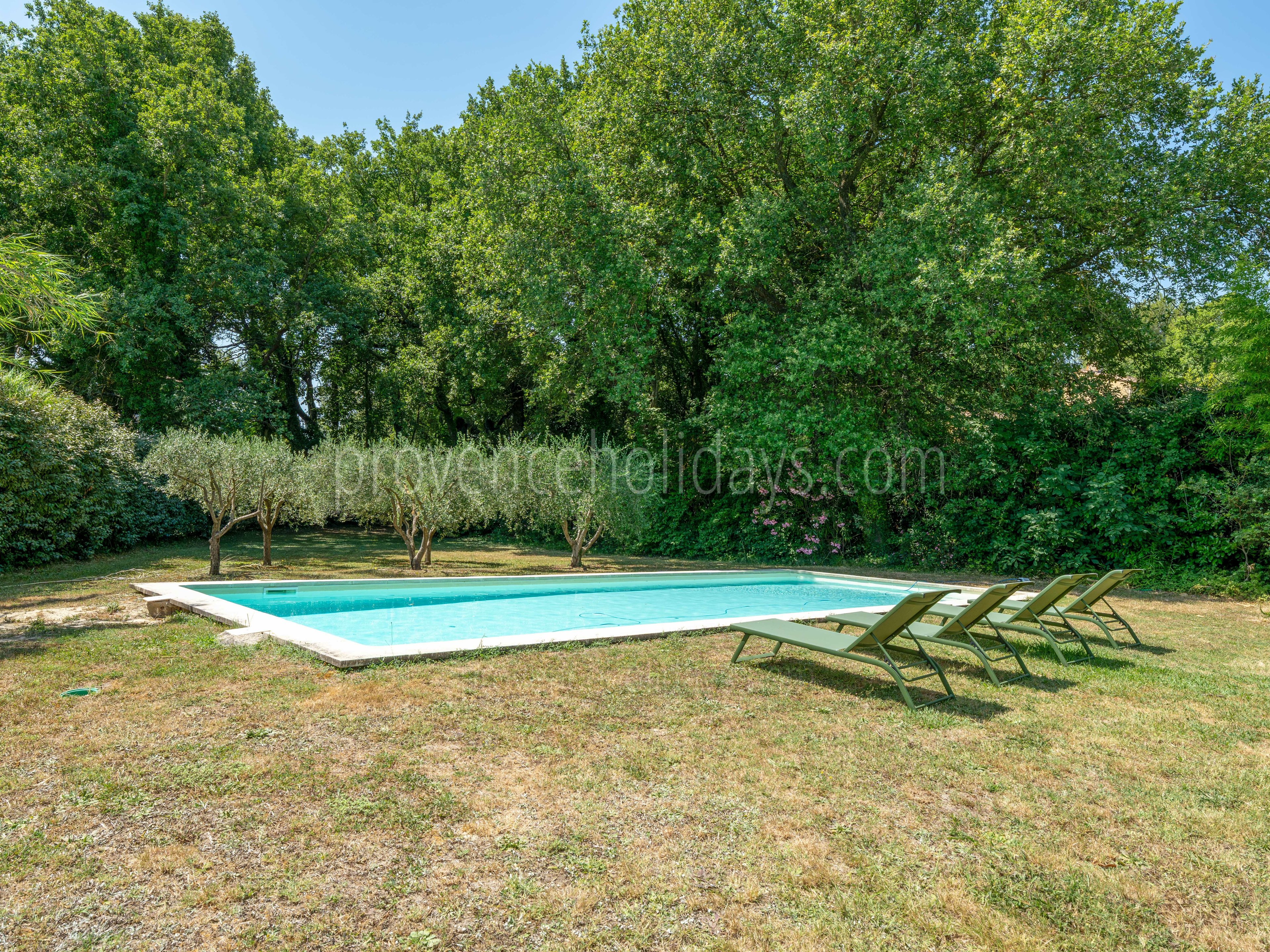 7 - Villa des Alpines: Villa: Pool