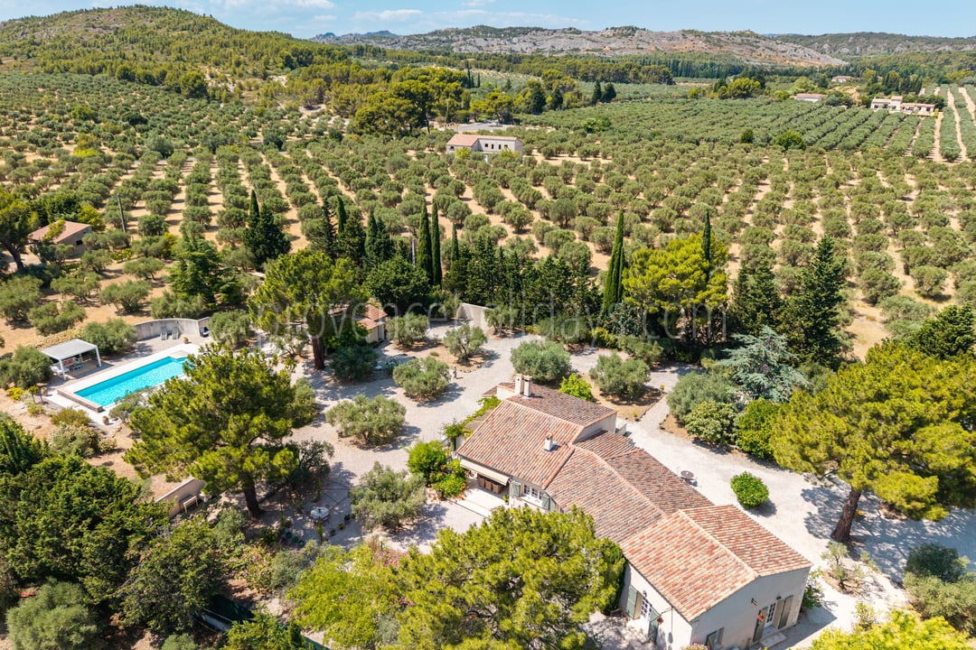 3 - Villa with outbuildings in Mouriès: Villa: Exterior