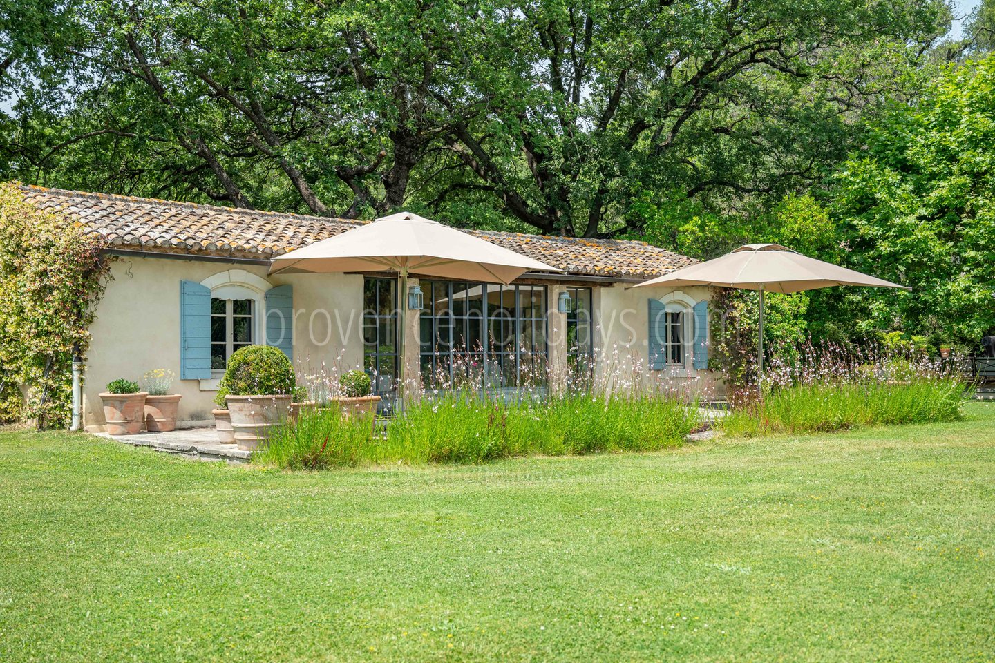 66 - Mas Provence: Villa: Exterior