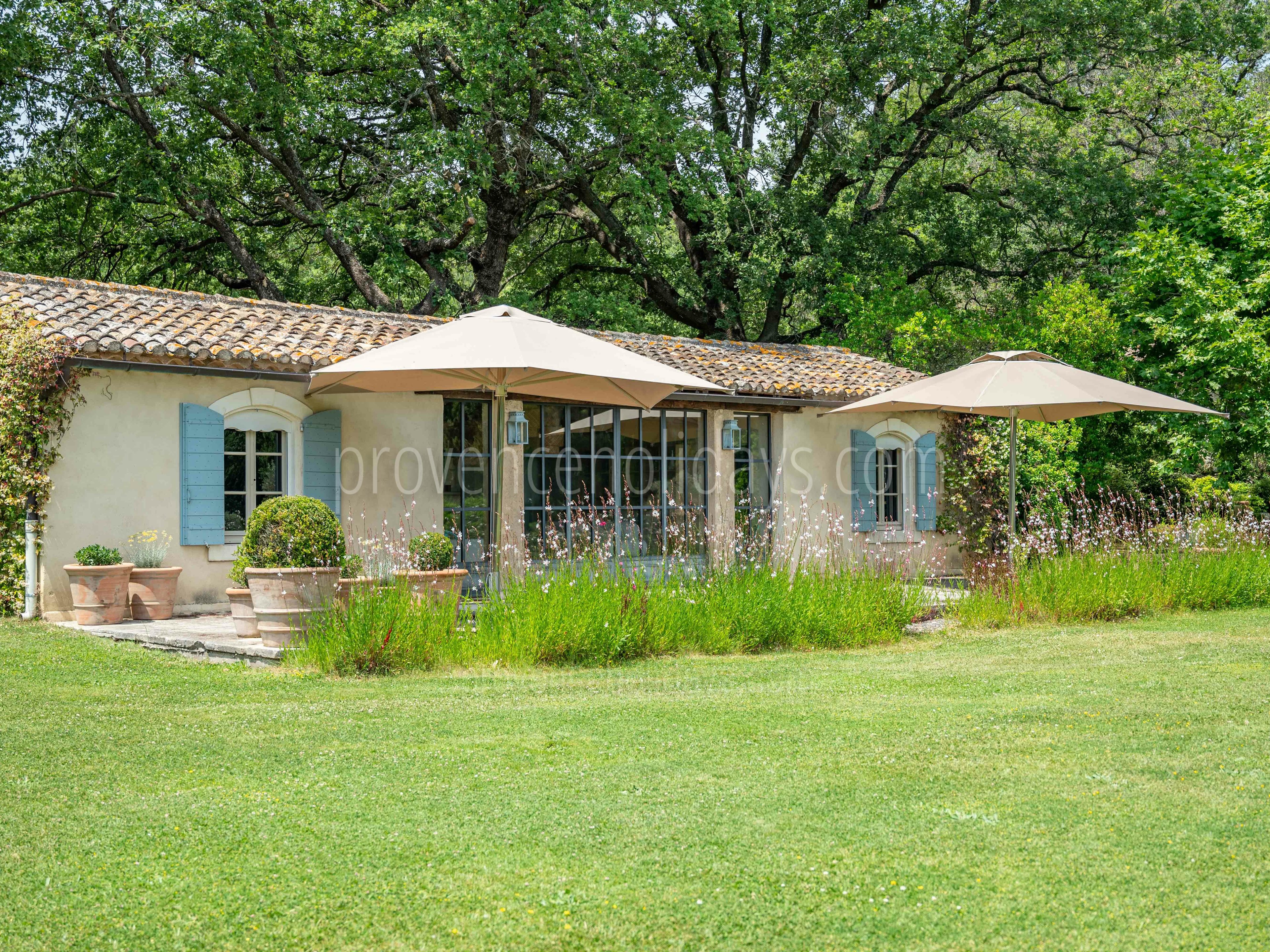 66 - Mas Provence: Villa: Exterior