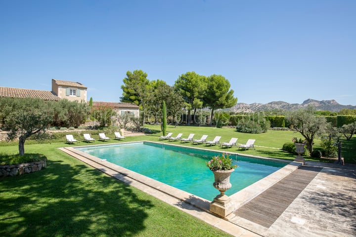 Provençal farmhouse with a large pool in the heart of the Alpilles
