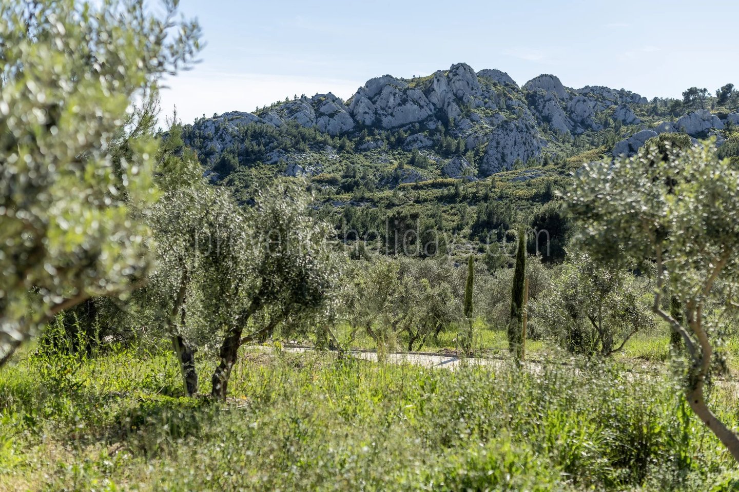 32 - Le Loup des Alpilles: Villa: Exterior