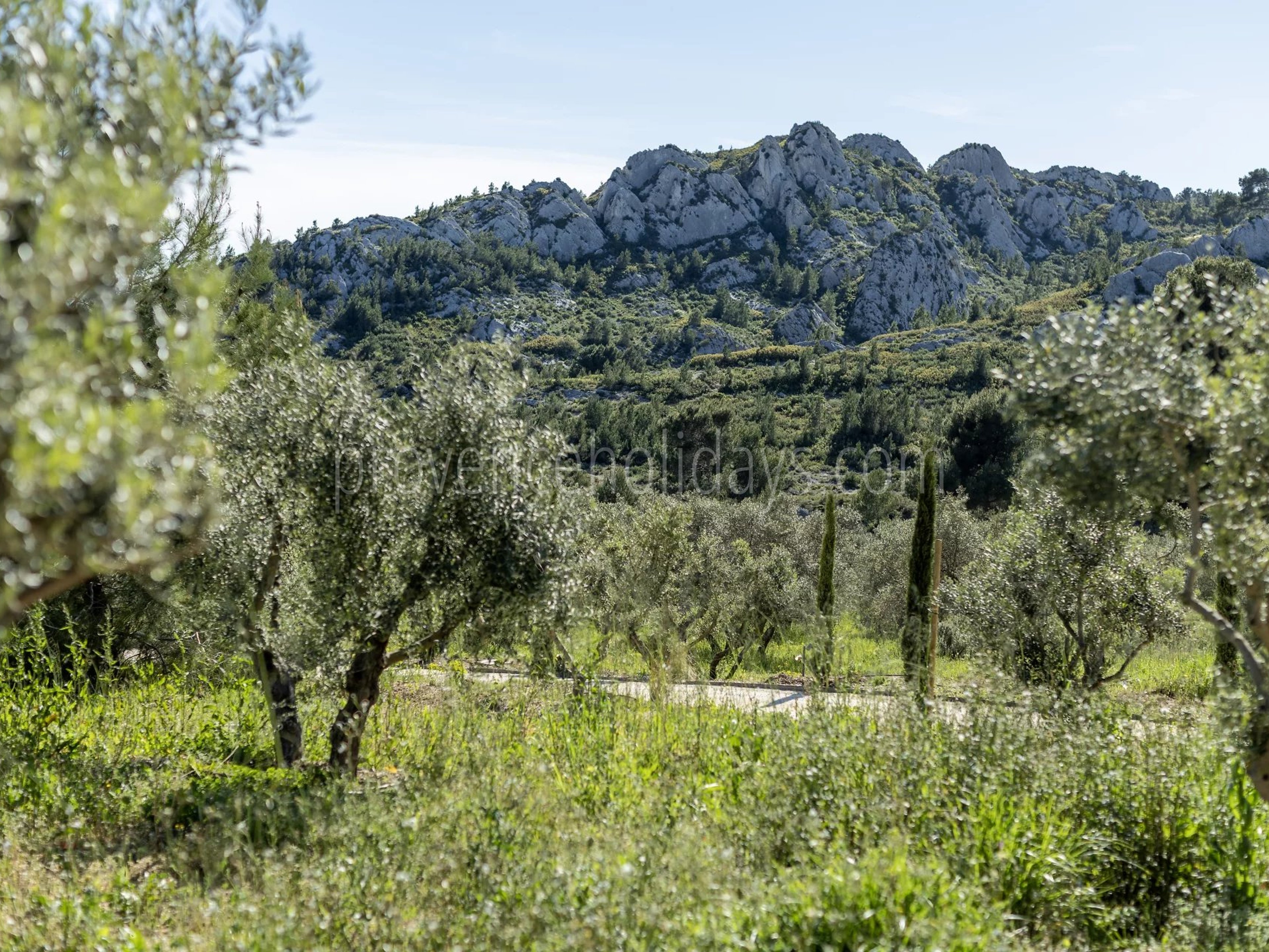 32 - Le Loup des Alpilles: Villa: Exterior