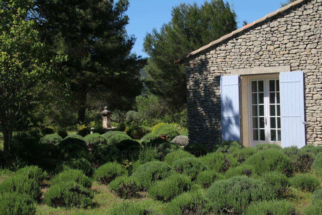 Location de vacances de charme avec piscine près de Lacoste Villa Lacoste - 6