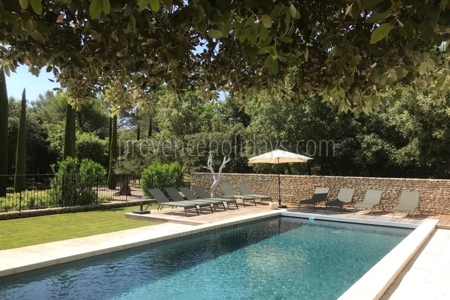 14 - Le Mas de la Pinède: Villa: Pool