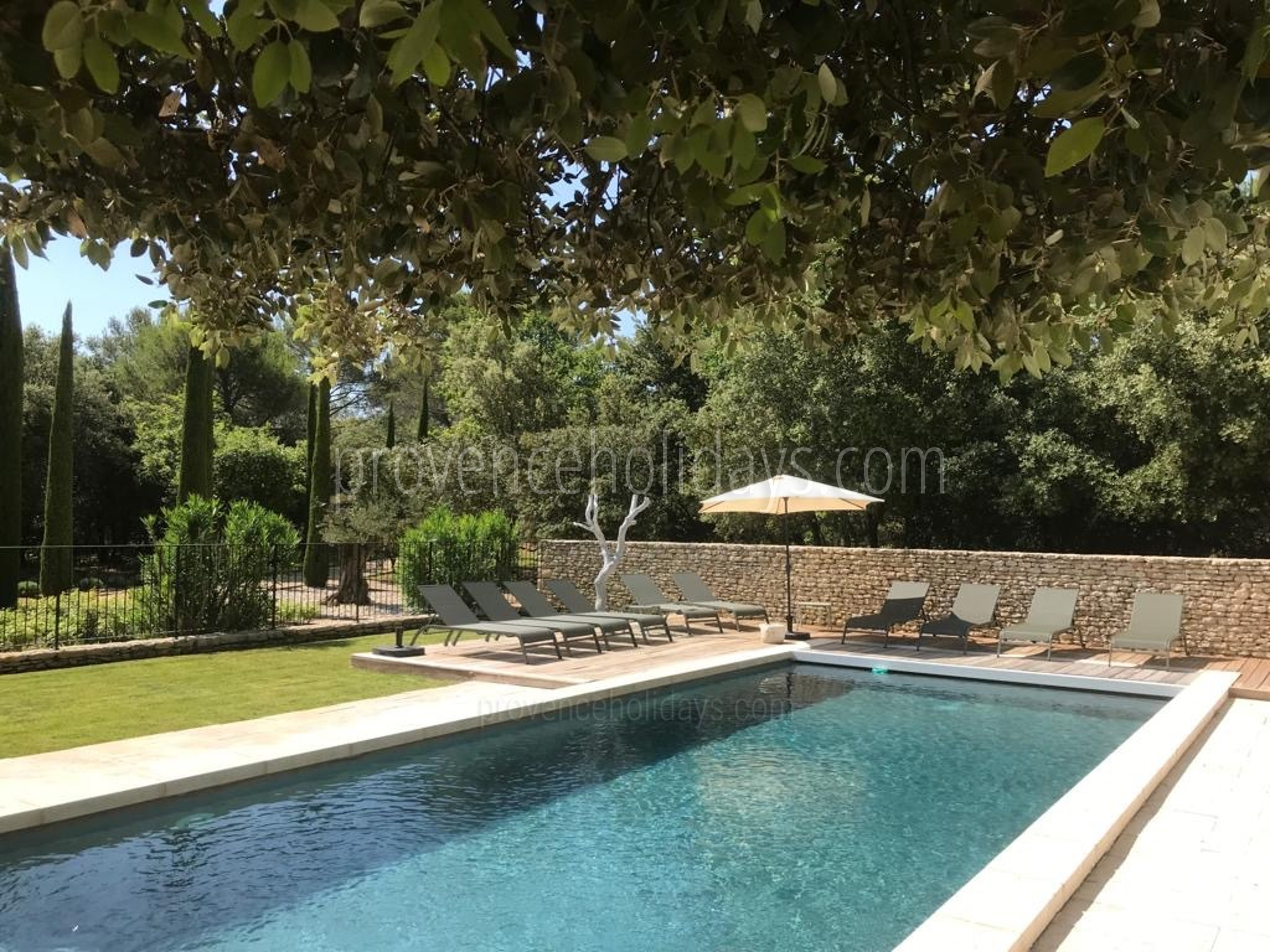 14 - Le Mas de la Pinède: Villa: Pool