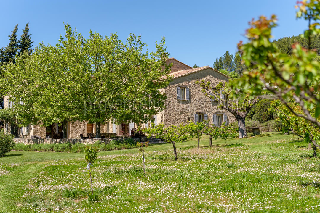 19 - Le Mas des Vignes: Villa: Exterior