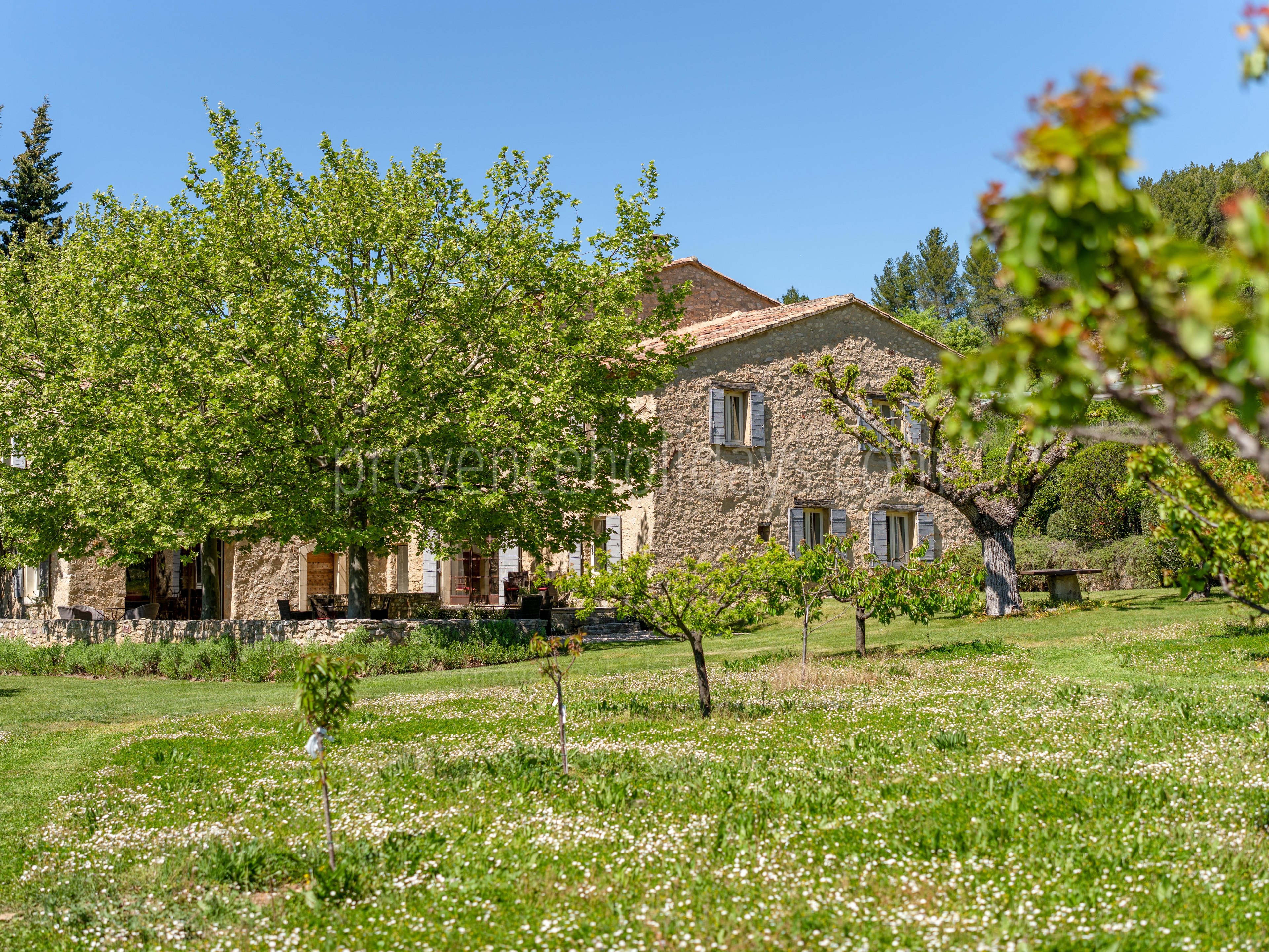 19 - Le Mas des Vignes: Villa: Exterior