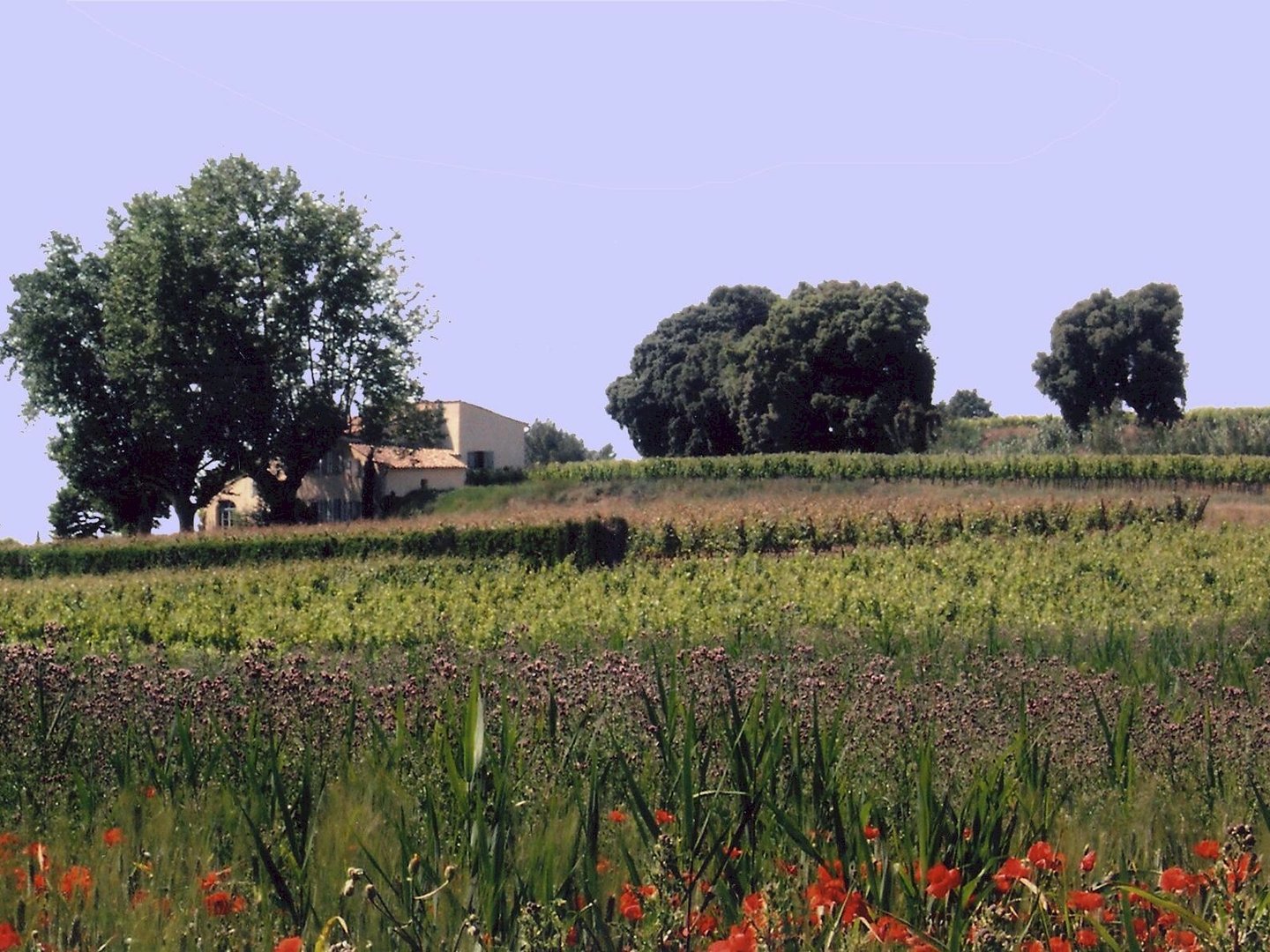 7 - Chez Martine: Villa: Exterior