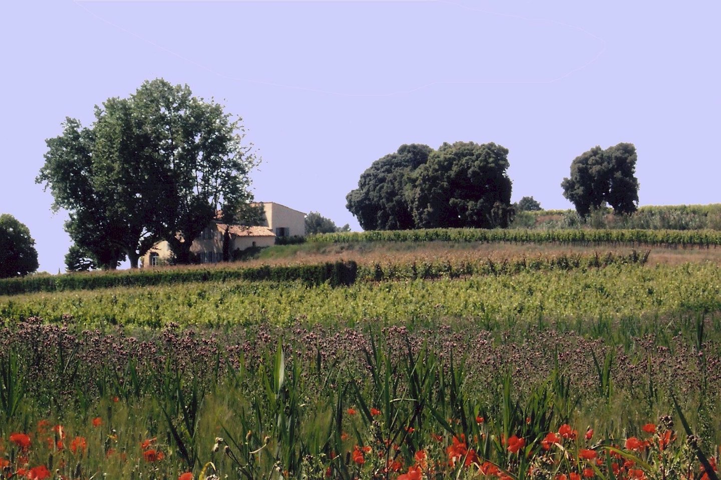 7 - Chez Martine: Villa: Exterior