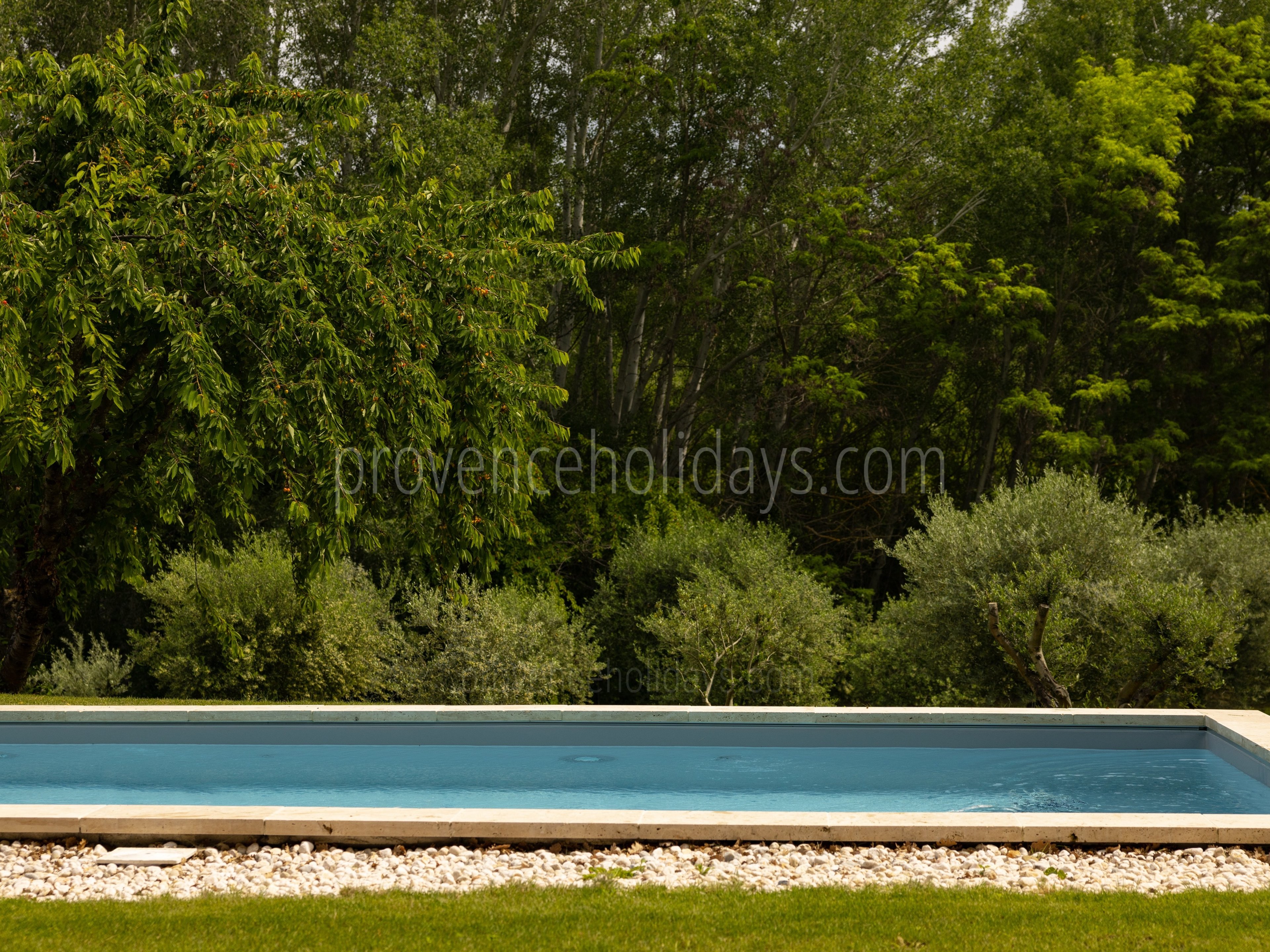 17 - Villa Virgile: Villa: Pool
