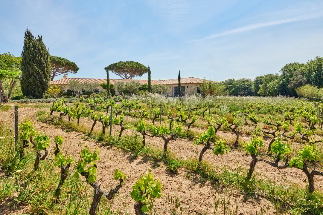 15 - Coteaux Serene: Villa: Exterior