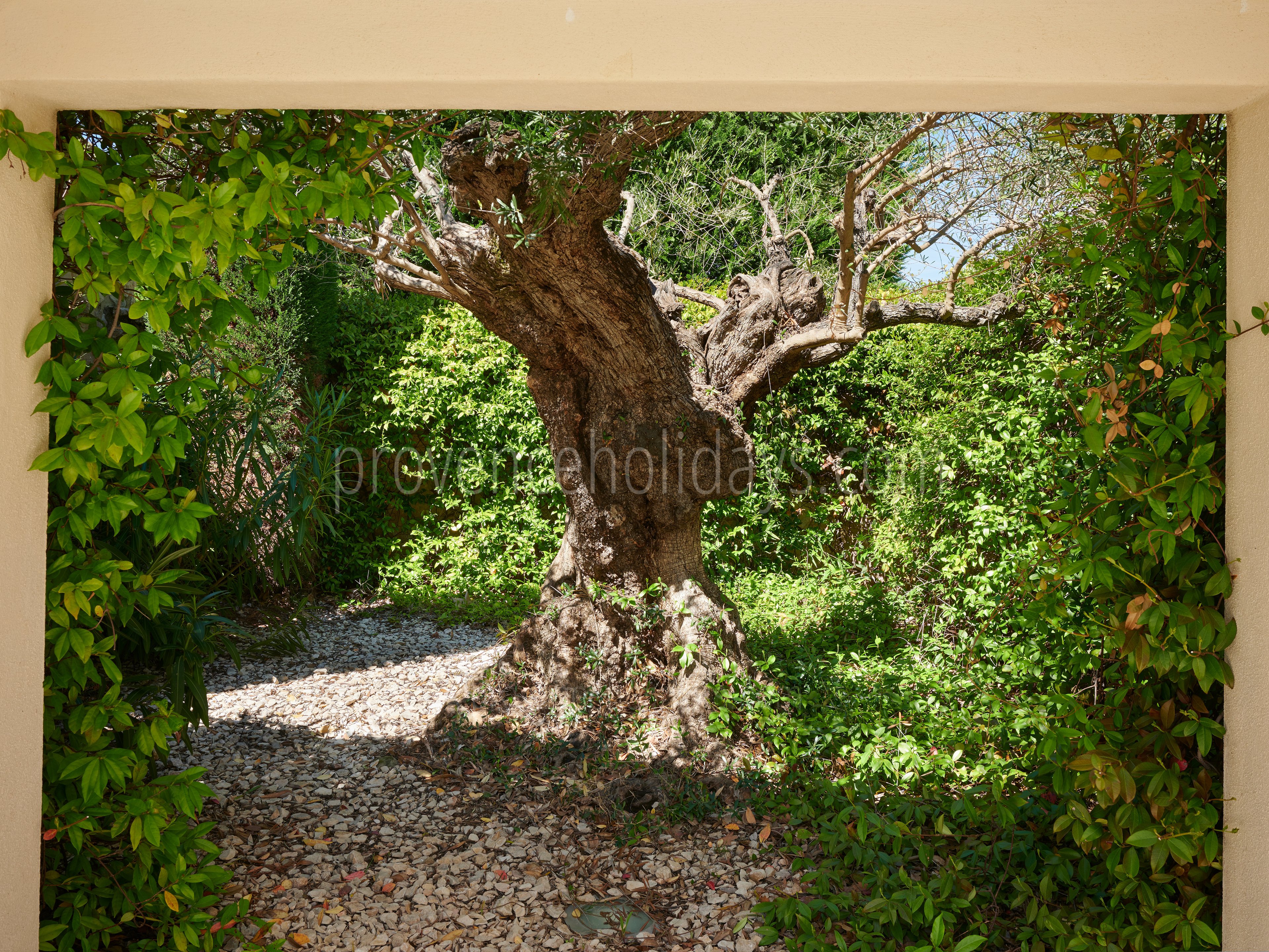 69 - Mas de l\'Artisan: Villa: Exterior