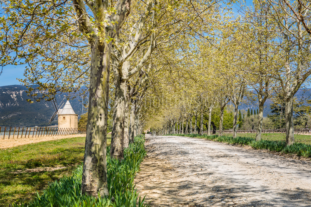 14 - Château de Luberon: Villa: Exterior