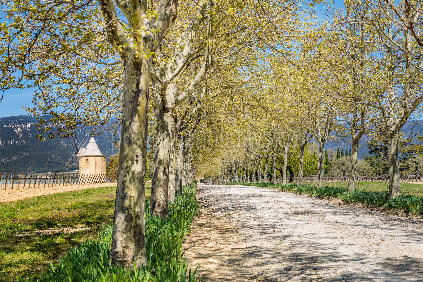 14 - Château de Luberon: Villa: Exterior