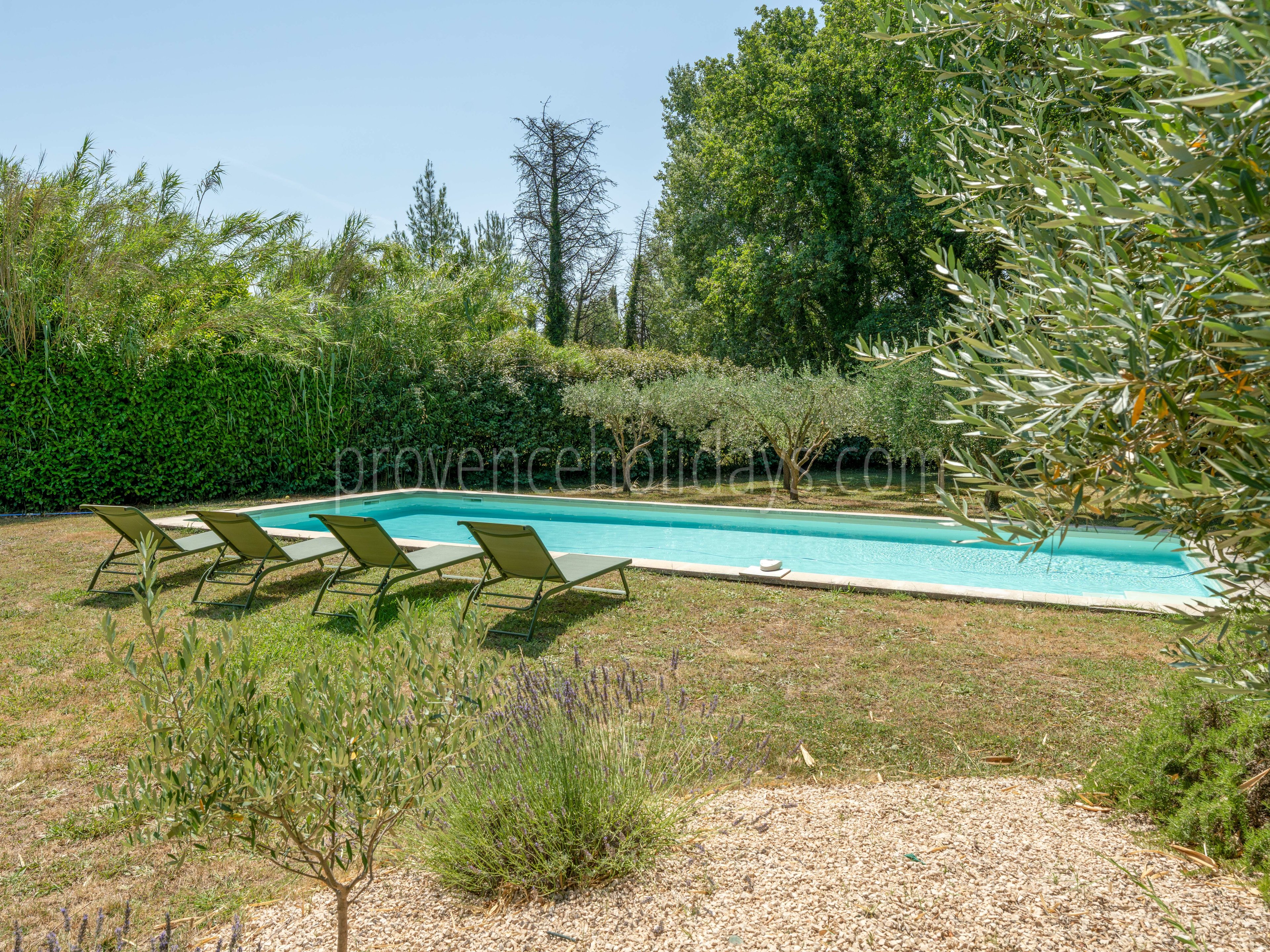 6 - Villa des Alpines: Villa: Pool