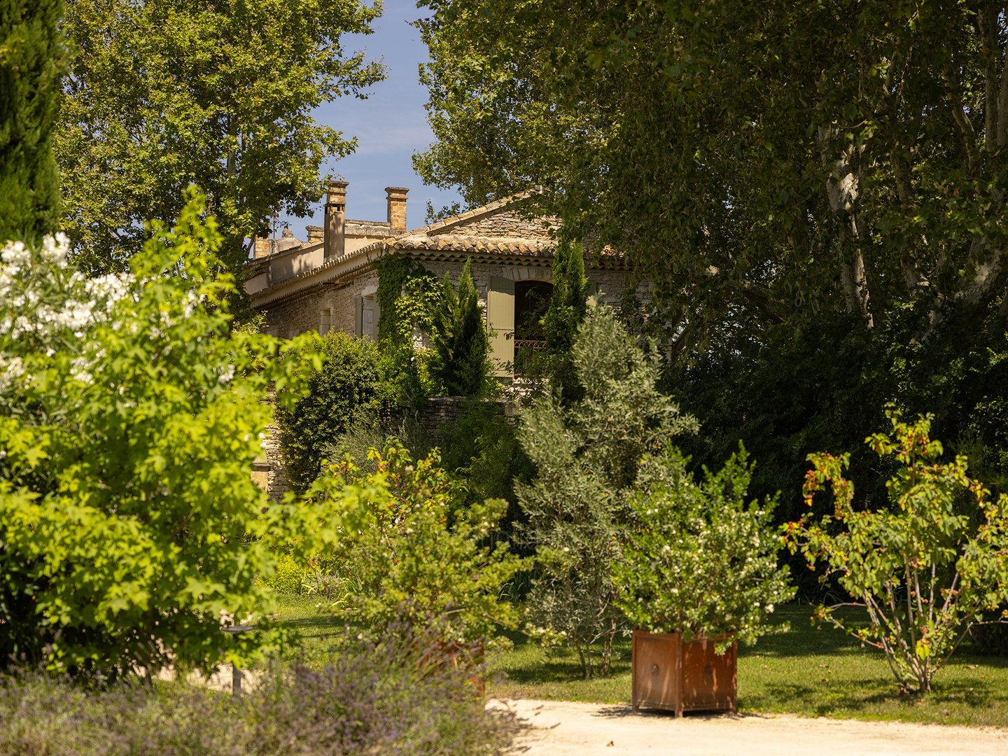 54 - Bastide Provençale: Villa: Exterior