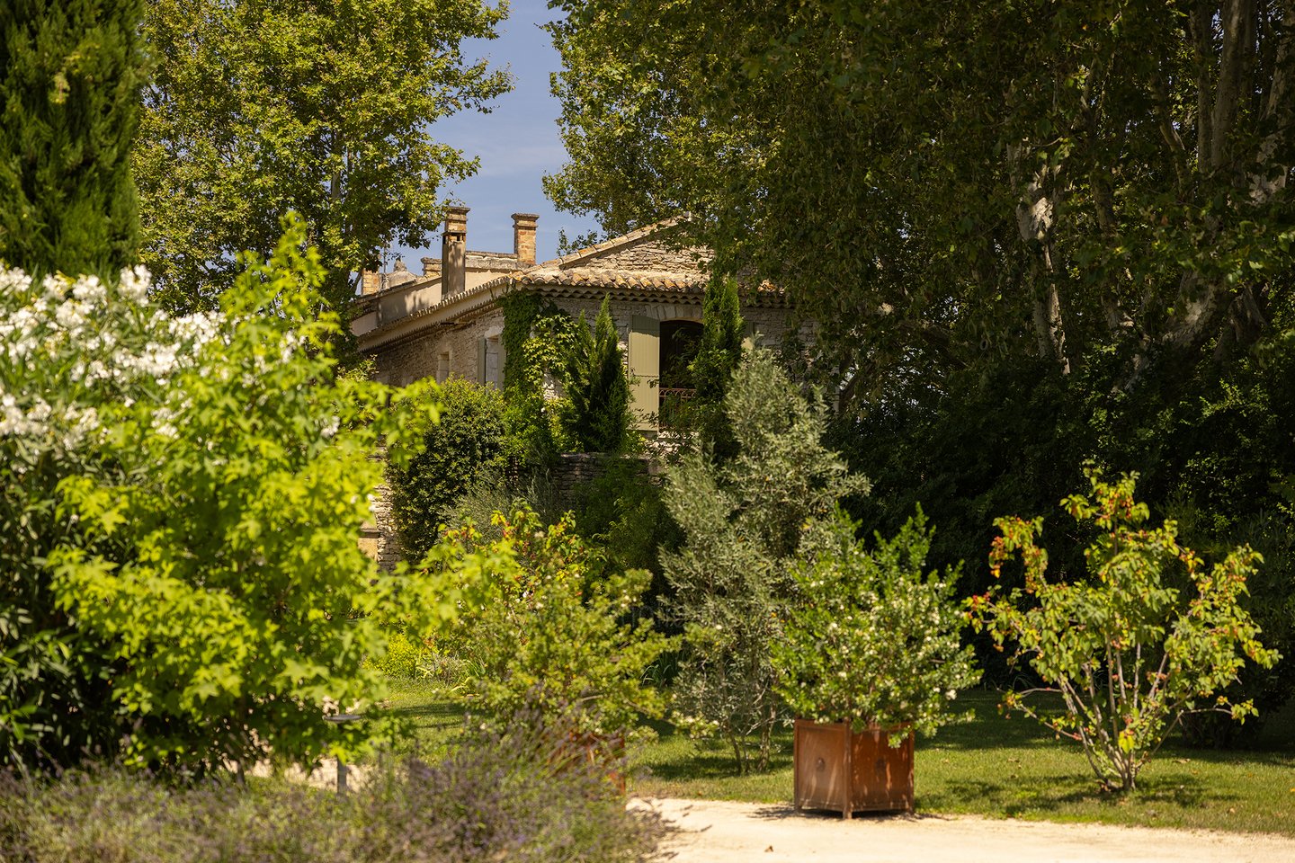 54 - Bastide Provençale: Villa: Exterior