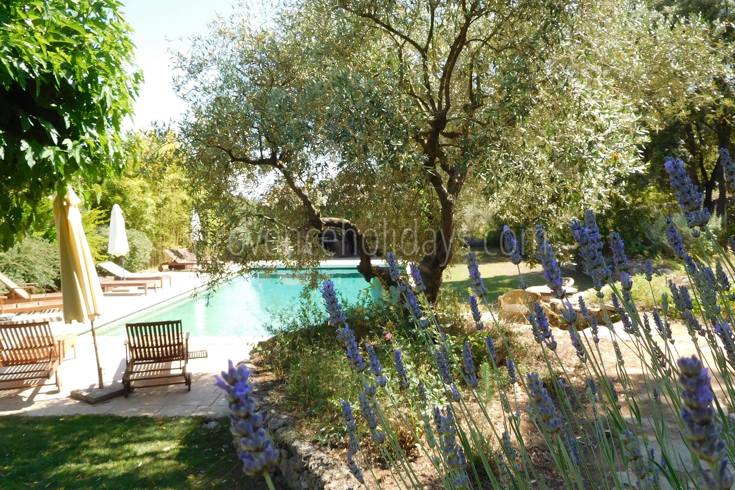 40 - Mas Lorgues: Villa: Exterior