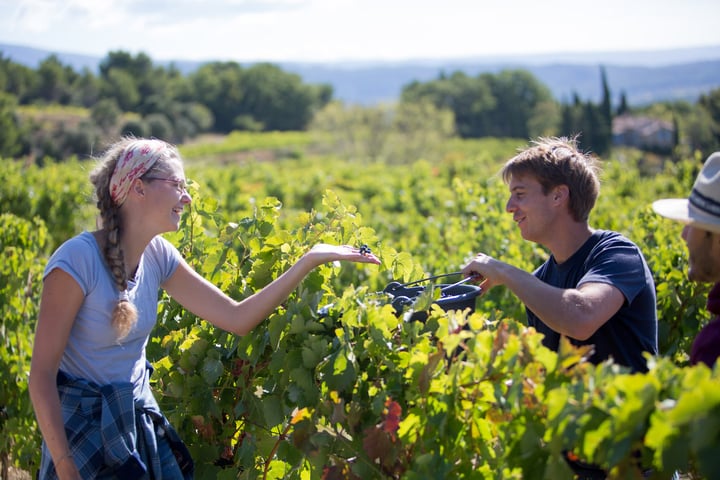 Domaine Saint Amant