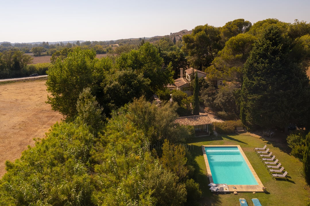 Ancien relais de chasse du XVIIe siècle entourée de champs d'oliviers à Maussane-les-Alpilles 5 - Mas du Rosier: Villa: Exterior