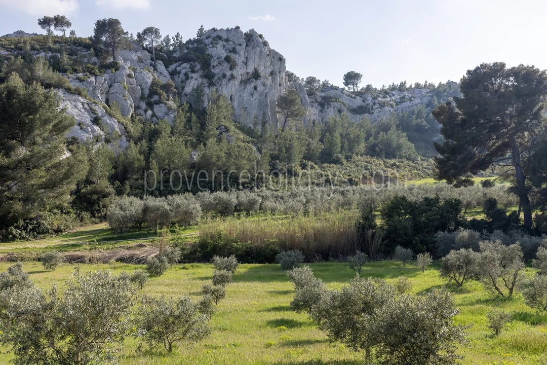 37 - Le Loup des Alpilles: Villa: Exterior
