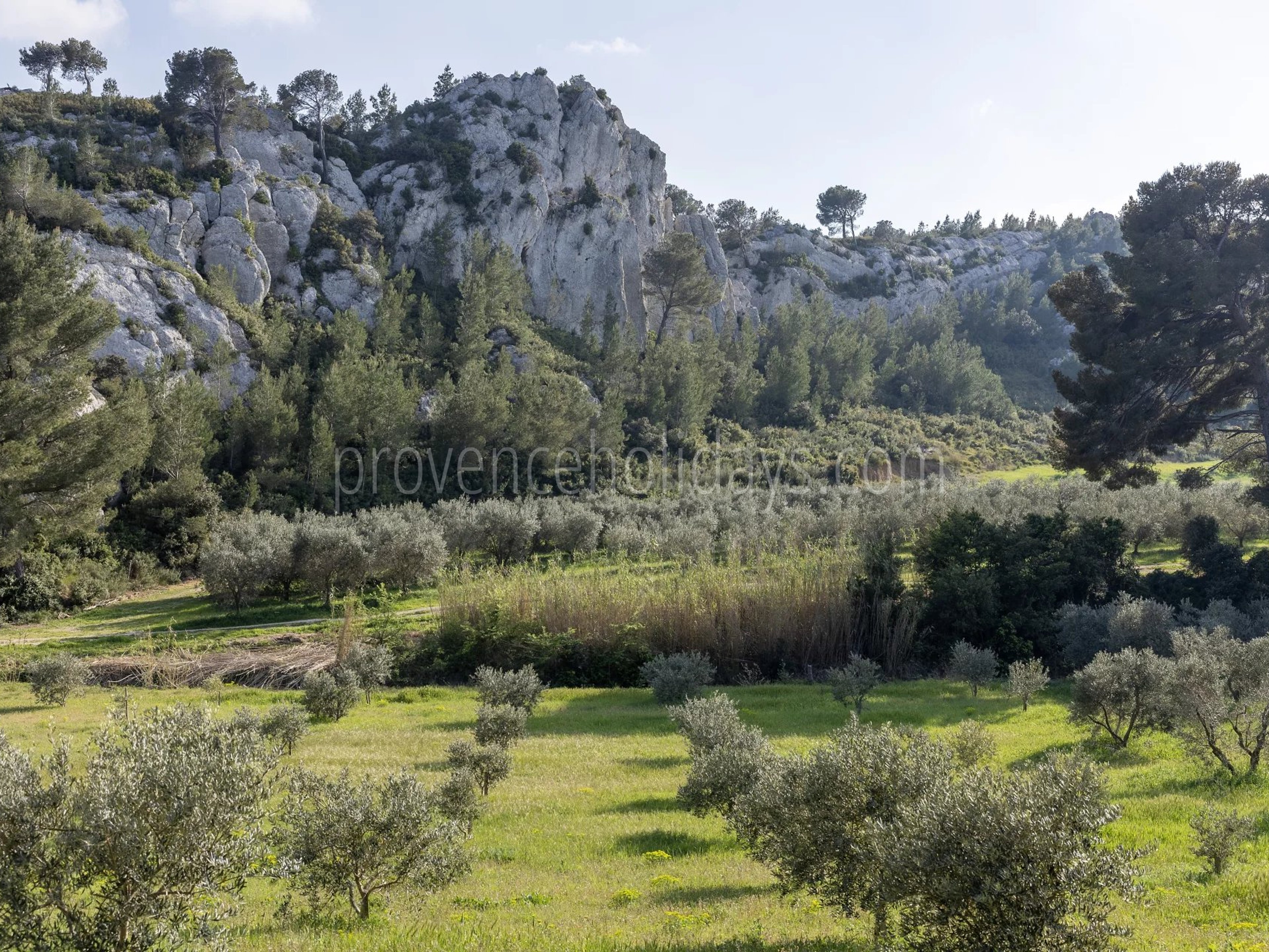 37 - Le Loup des Alpilles: Villa: Exterior