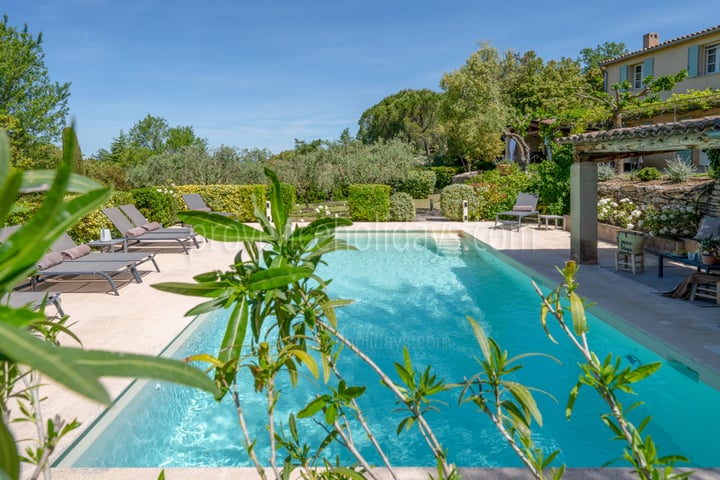 10 - Le Mas des Proles: Villa: Pool